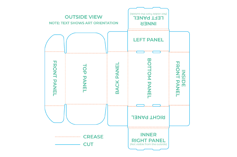 Drawn image panel from front view showing from the left. (A) The size